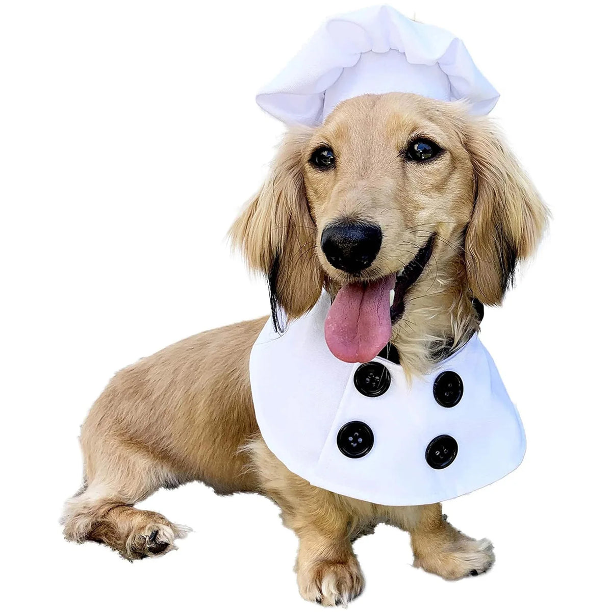 Dog Chef Hat Outfit Halloween Cosplay Costume Pet Clothes For Party Dress Up Fun